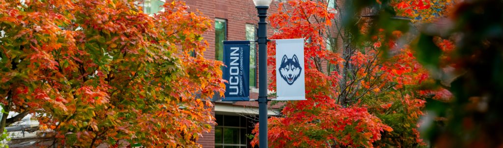 picture of uconn banner on a light post surrounded by autumn leaves